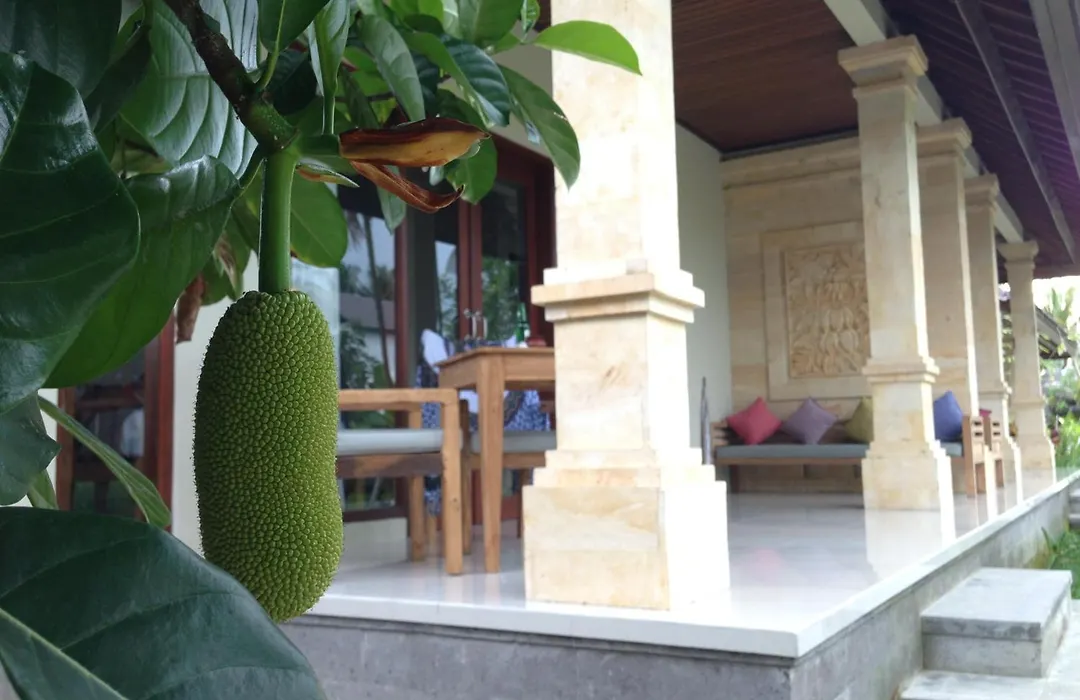 Masia Villa Ubud-1