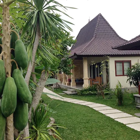 Masia Villa Ubud-2